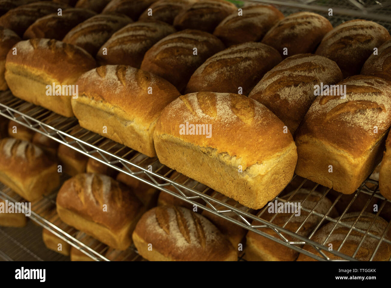 Brote von frisch gebackenem Brot sitzen auf Kühlung Rack Stockfoto