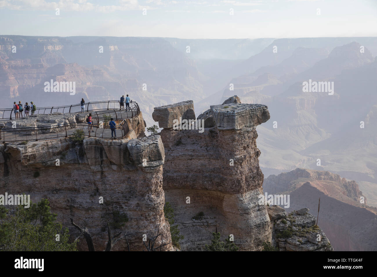 Fans, die den Grand Canyon aus der Sicht Stockfoto