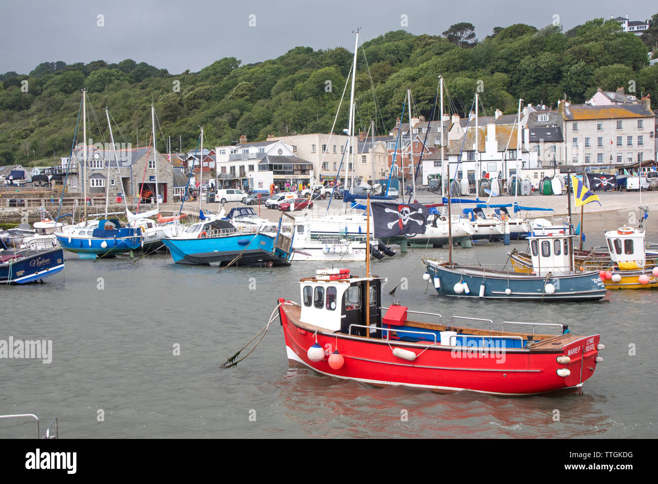 Angeln und Boote im Hafen von Lyme Regis, Dorset, England, Großbritannien Stockfoto