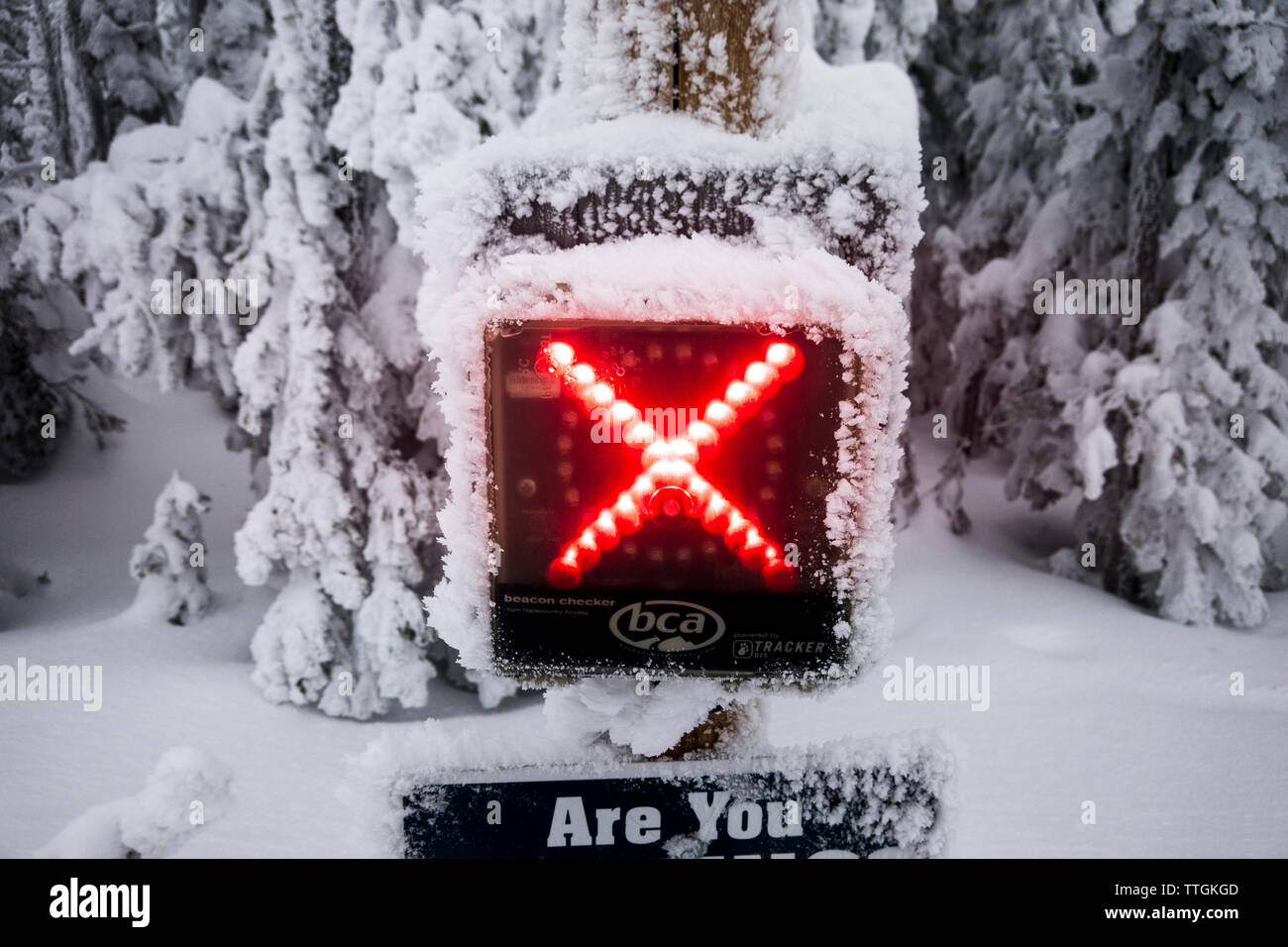 Ein lvs Checker an einem backcountry Tor auf ein Skigebiet. Stockfoto