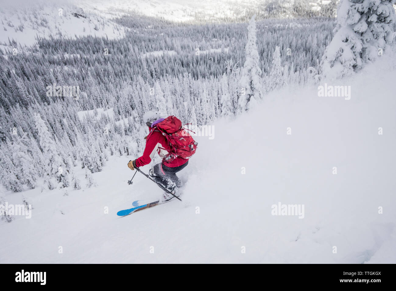 Eine Frau backcountry Skier Skier Pulver in der Rattlesnake Berge. Stockfoto