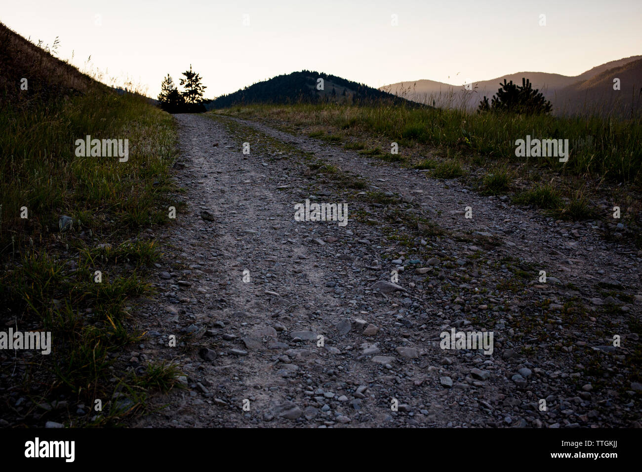 Ein Feldweg in der Nähe von Missoula, Montana führt zum Glühen von Sunrise. Stockfoto