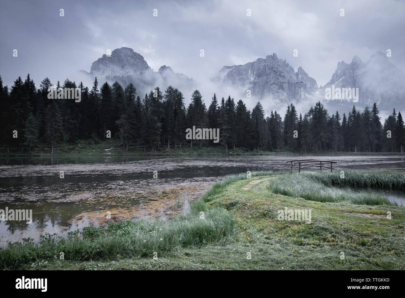 Malerischer Blick auf den See Antorno gegen Bäume und Berge bei nebligen Wetter Stockfoto