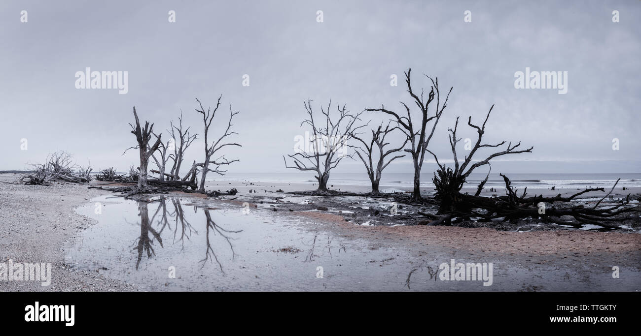 Botany Bay Strand Panorama an bewölkten Tag, Edisto Island, South Carolina, USA Stockfoto