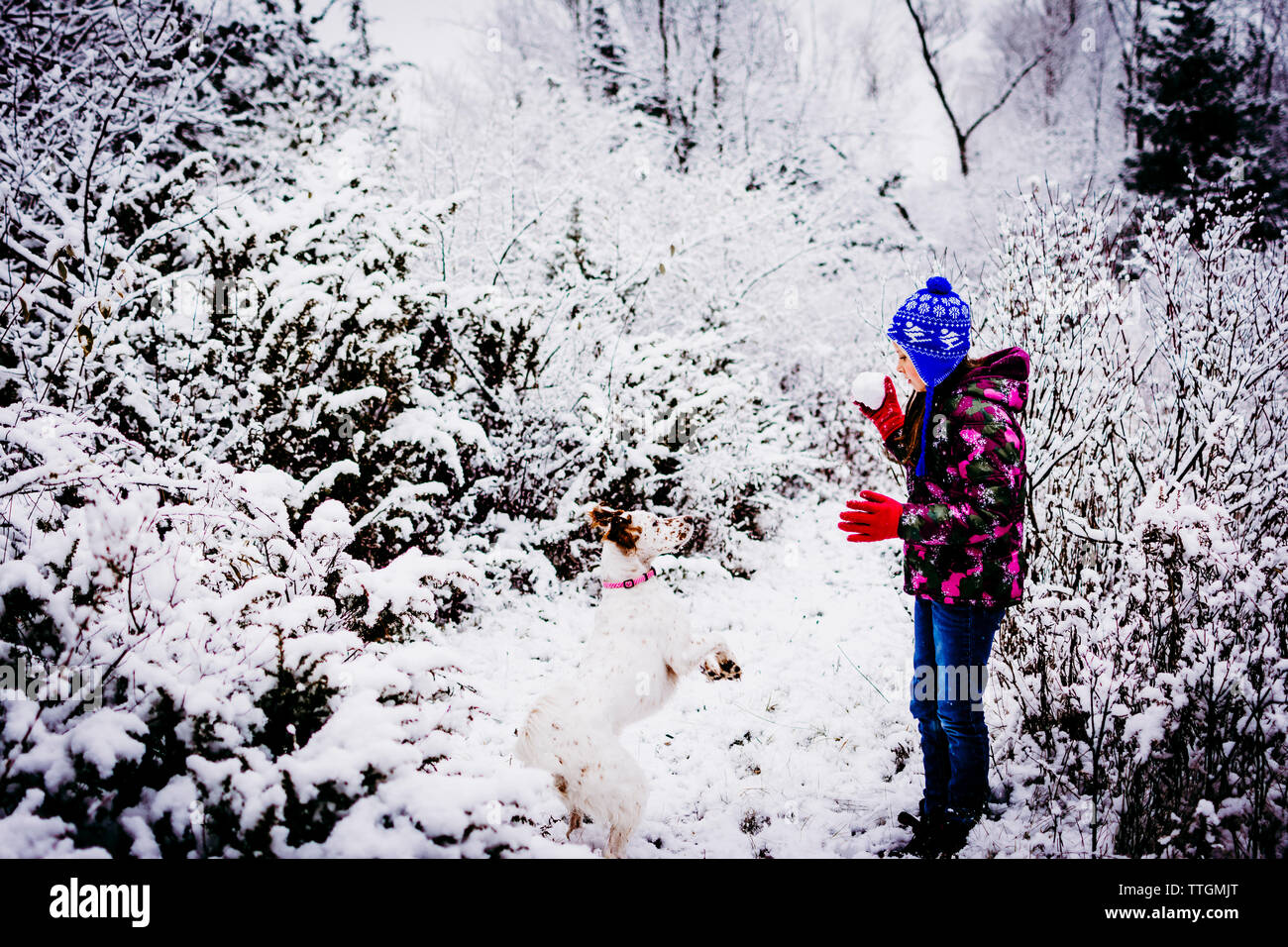 Winter Wonderland junges Mädchen und ihr Hund im Schnee spielen Stockfoto