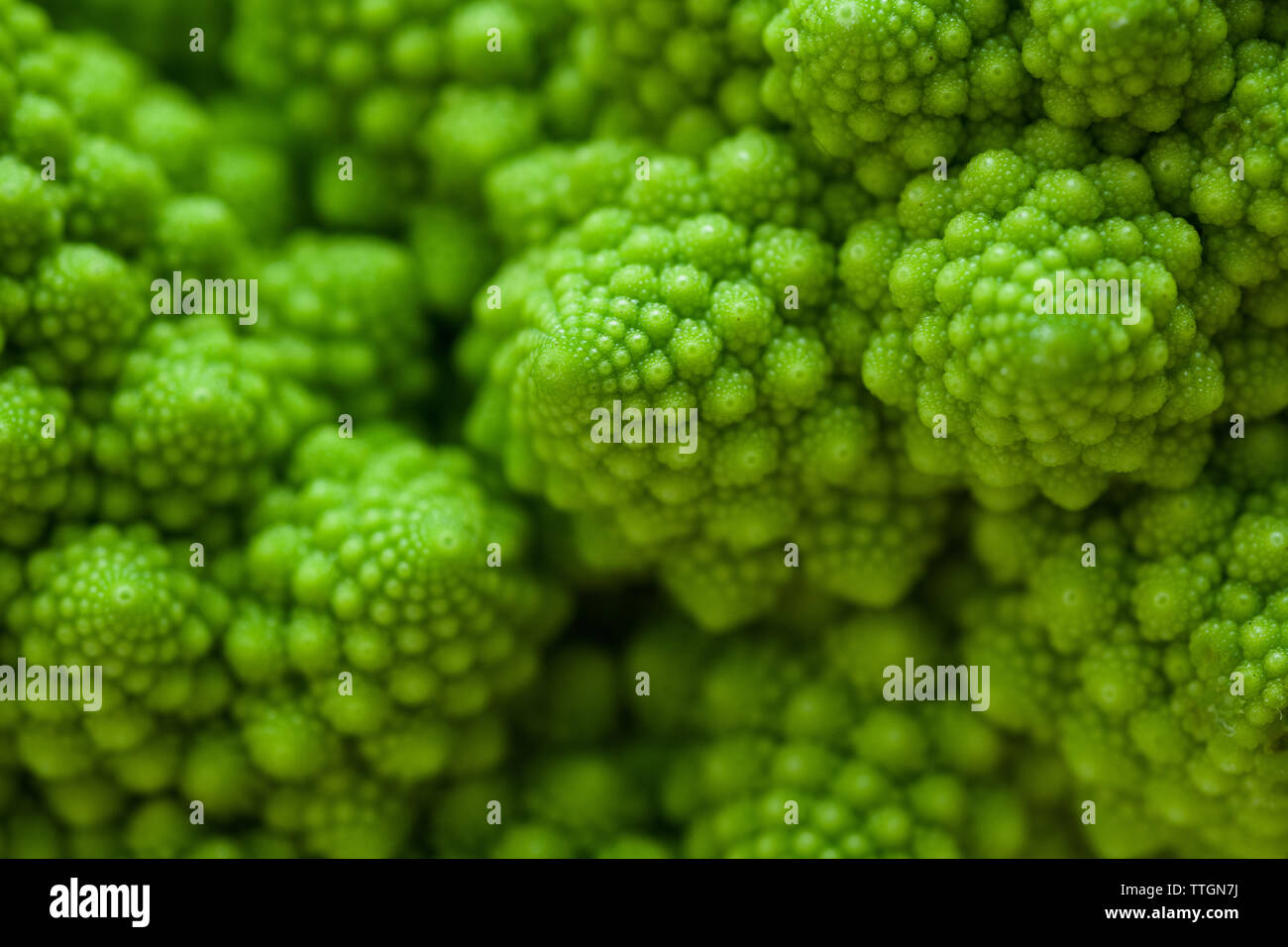 Gesunde grüne romanische Blumenkohl Stockfoto