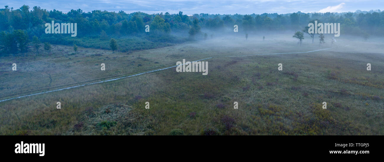 Wet Prairie, Eichen, Irwin Prairie Naturschutzgebiet, Holland, Ohio Stockfoto