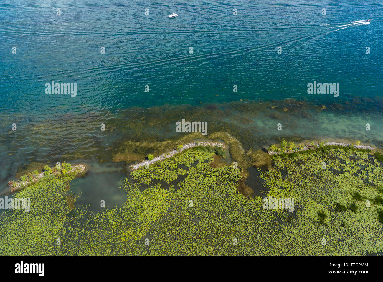 Marsh wiederhergestellt, indem Sie Hindernisse, Beaver Island State Park, New York Stockfoto