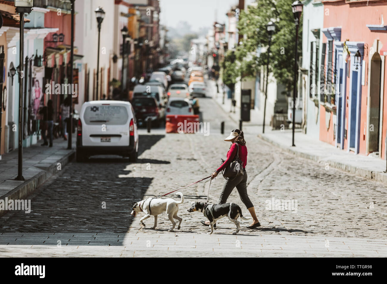 Frau geht Hunde über Straße mit Kopfsteinpflaster in Oaxaca Mexiko Stockfoto