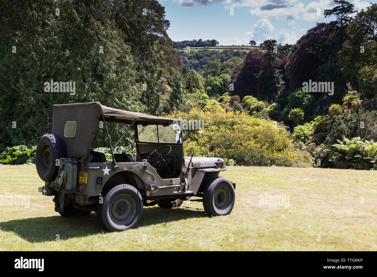 Ein WWII ära Willys Jeep auf dem Rasen im Trebah Garten in Cornwall geparkt. Stockfoto