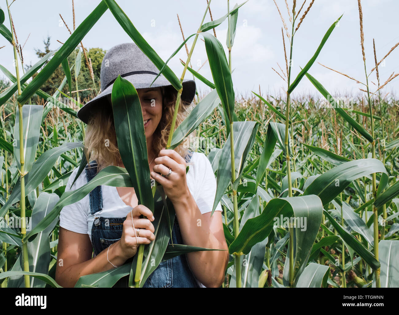 Frau mit Hut hinter Pflanzen im Kornfeld Stockfoto