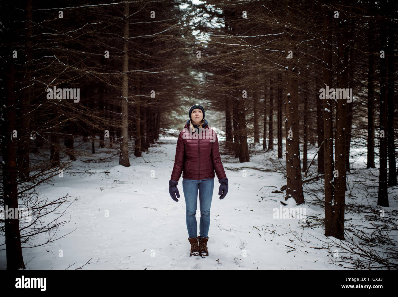 Blonde Frau, die in einem verschneiten Wald mit Stirnlampe auf Stockfoto