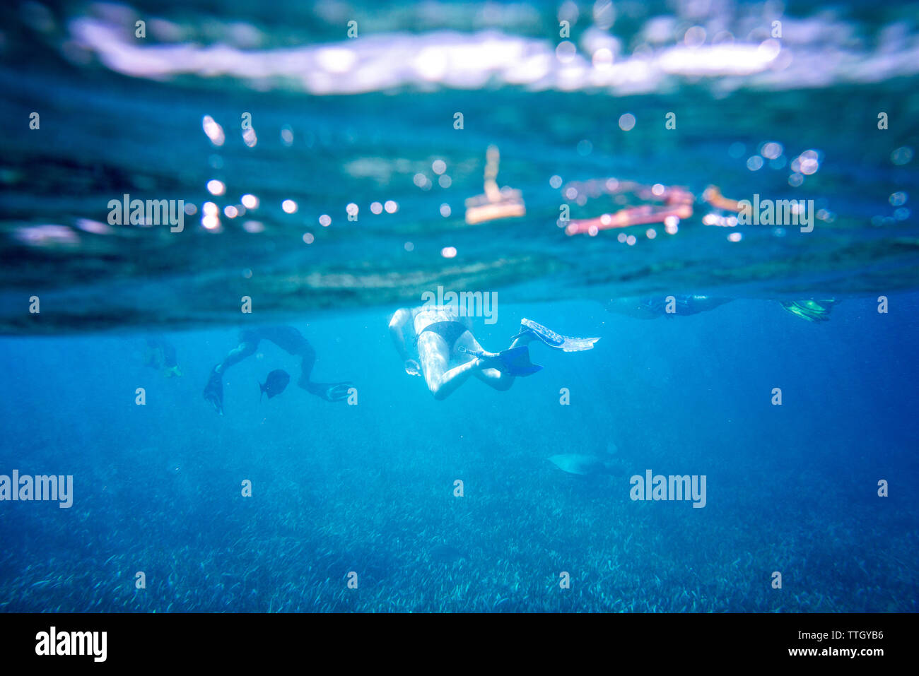 Niedrige Abschnitt von Menschen schnorcheln Unterwasserwelt Stockfoto