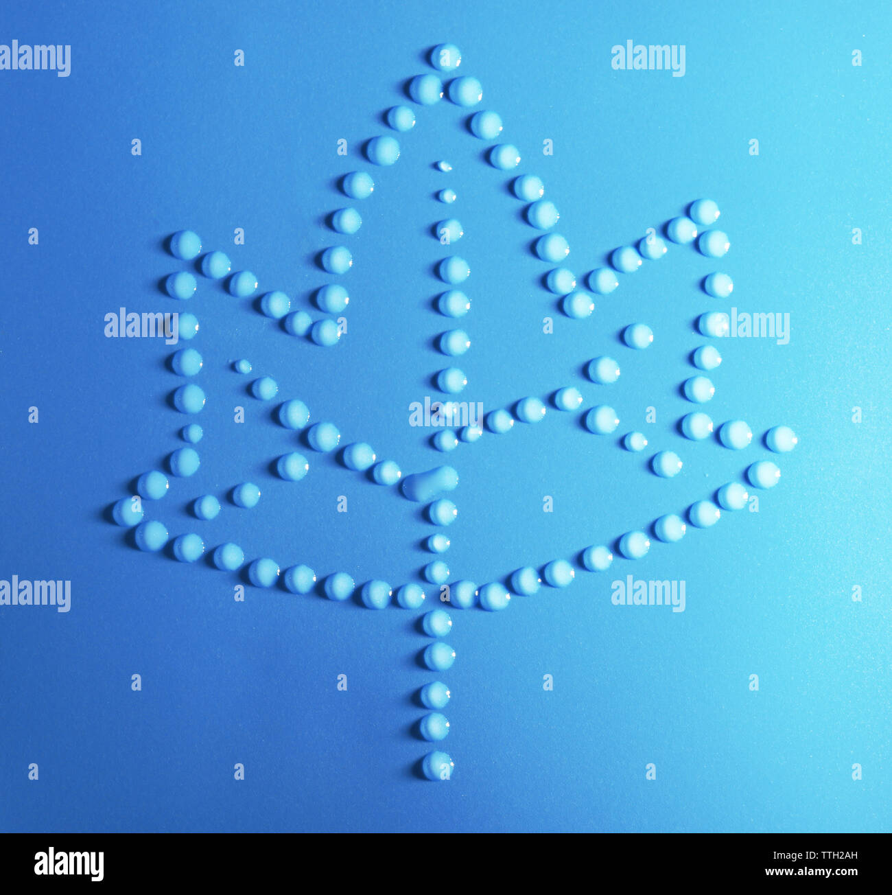 Maple Leaf aus Wassertropfen auf einem blauen Hintergrund Stockfoto