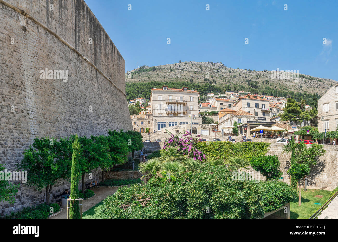 Ein kleiner Garten in Dubrovnik. Stockfoto