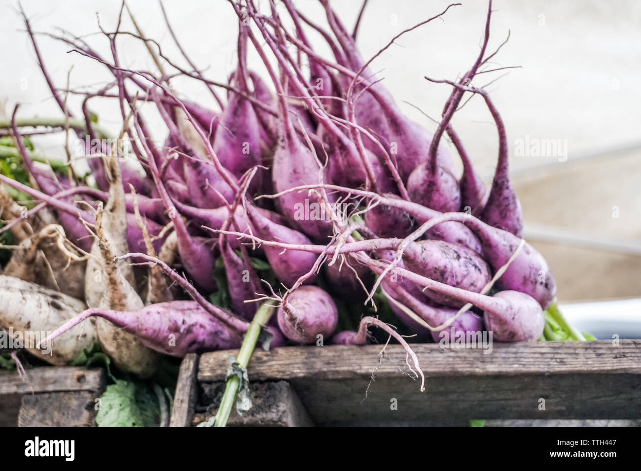 Frischen Bio-produkten bei Farmers Market Stockfoto