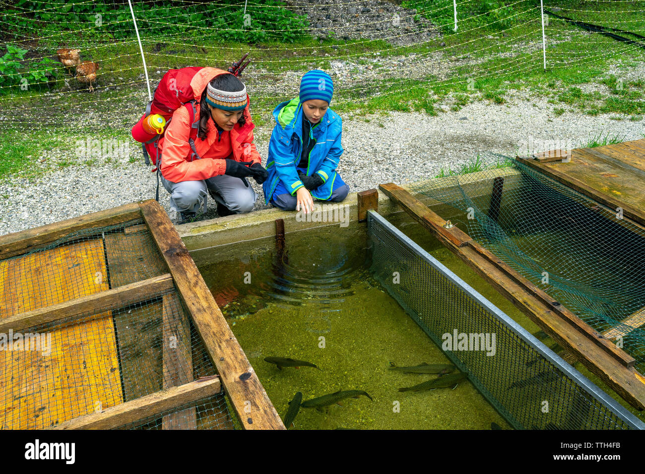 Mutter und Sohn beobachten die Fische in einem Teich von einer Fischfarm an einem regnerischen Tag Stockfoto