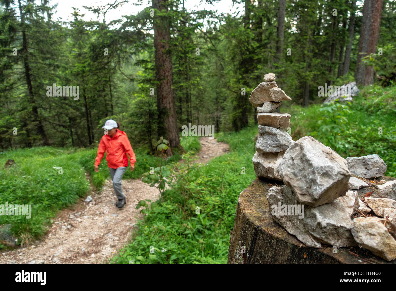 Junge Frau wandern auf einem Trail im Wald vorbei an einem Stein dwarve Stockfoto