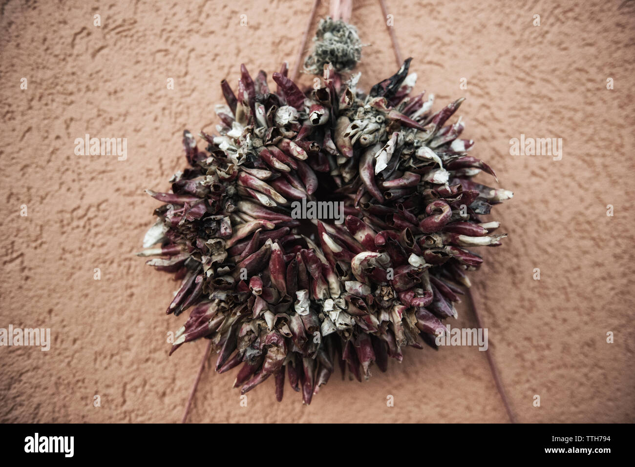 Sunfaded Rundschreiben Chile Rista Satz gegen Adobe in New Mexico Stockfoto