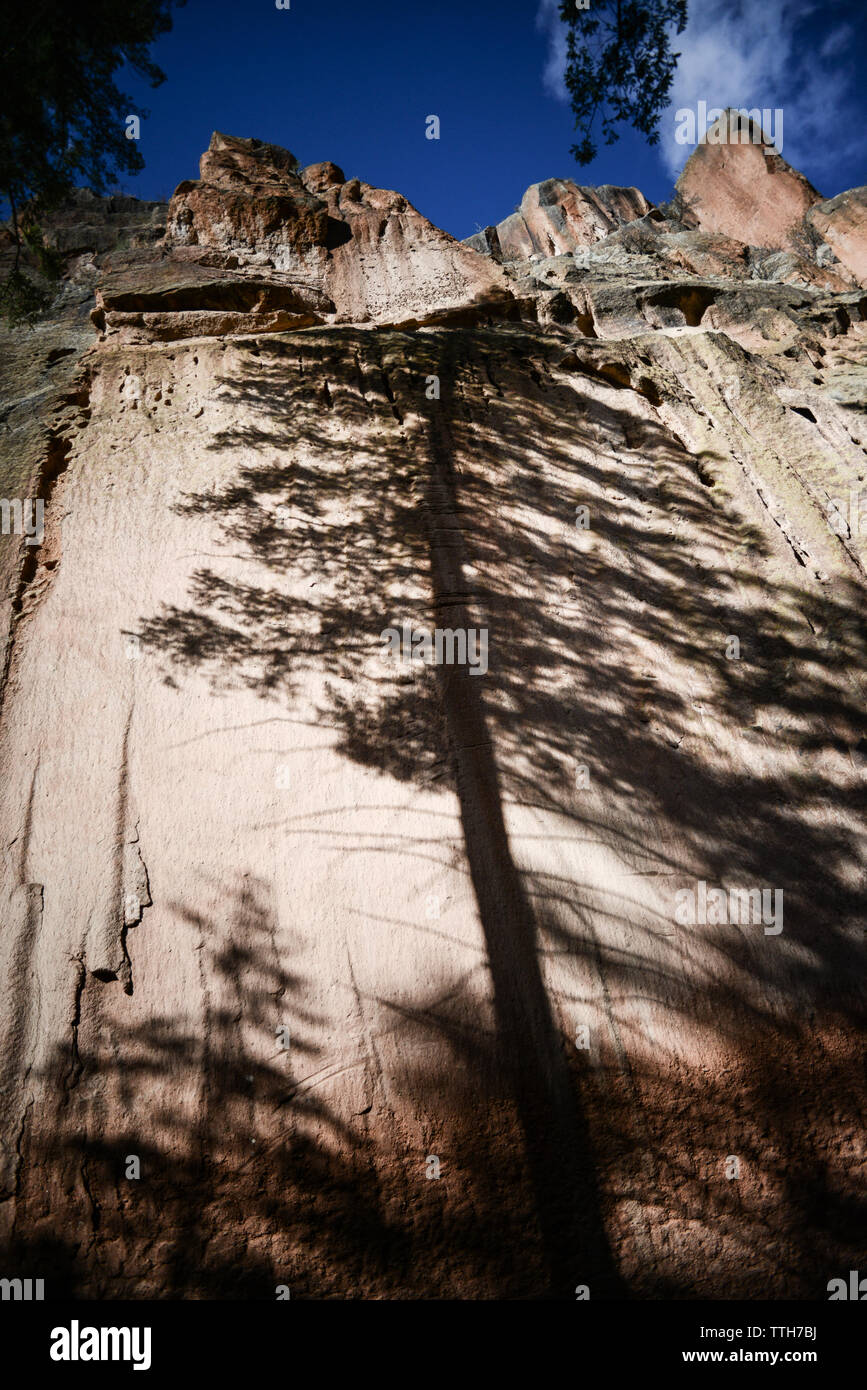 Schatten des Baumes gegen Canyon Wand im Bandelier National Monument Stockfoto
