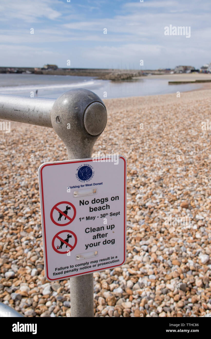 Sign on Lyme Regis Strand Hunde Einschränkung am Strand zwischen 1. Mai bis 30. September Stockfoto