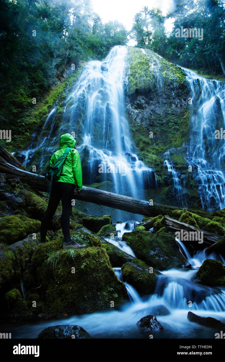 Ansicht der Rückseite des weiblichen Wanderer auf Wasserfall beim Stehen auf Rock am Wald Stockfoto