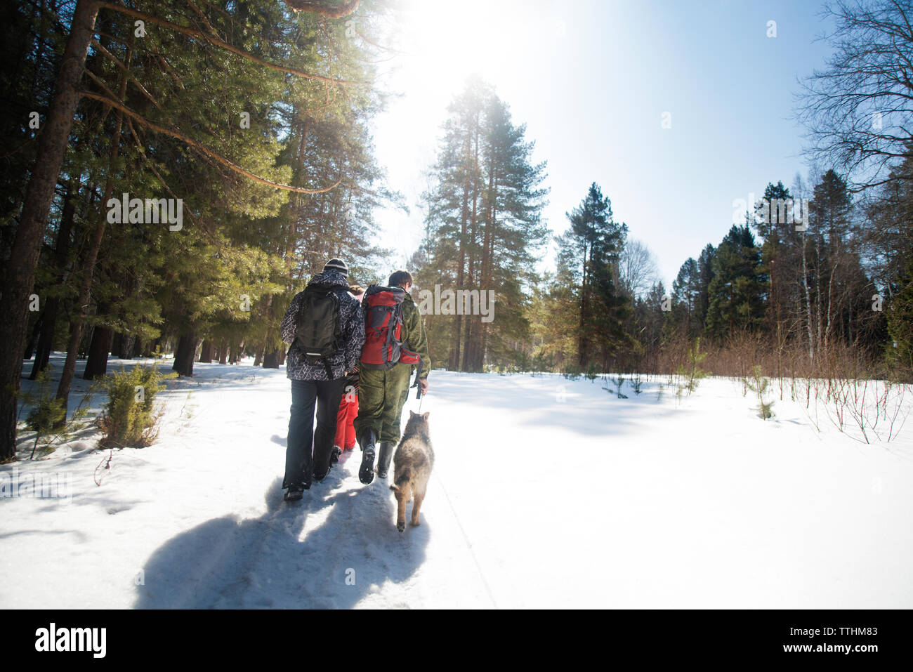 Rückansicht der Freunde und Hund Wandern auf schneebedeckten Feld an einem sonnigen Tag Stockfoto