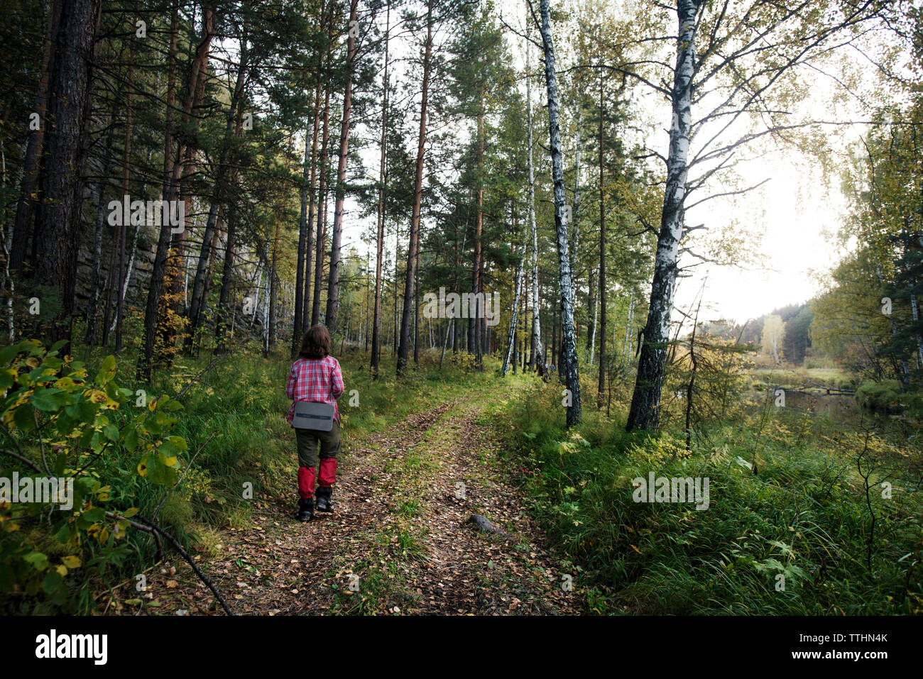 Ansicht der Rückseite des weiblichen Wanderer zu Fuß auf Wanderweg im Wald Stockfoto