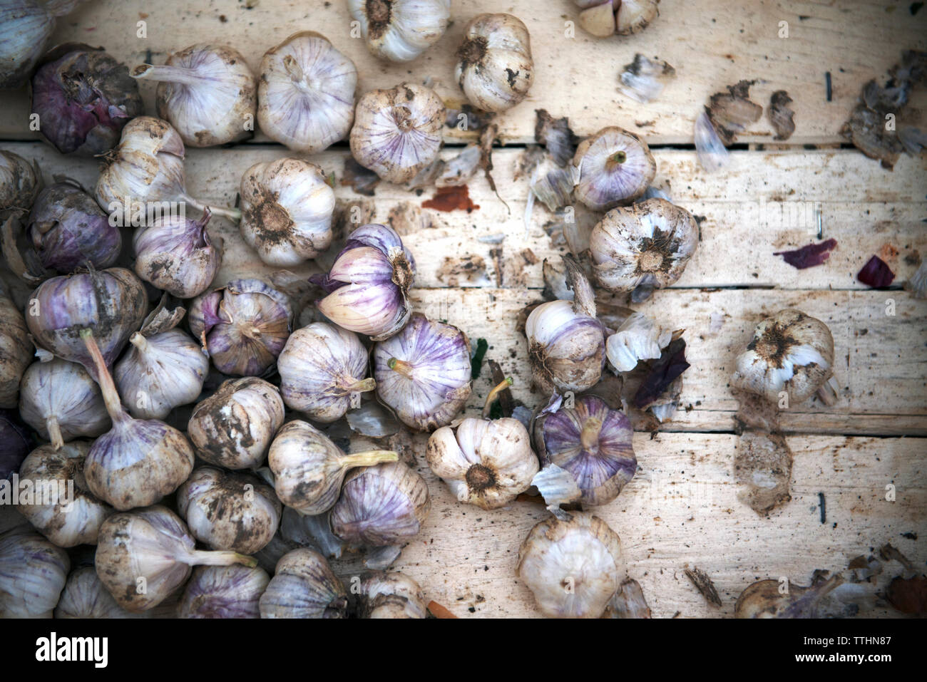 Ansicht von oben von Knoblauch Zwiebeln in Holzkiste Stockfoto