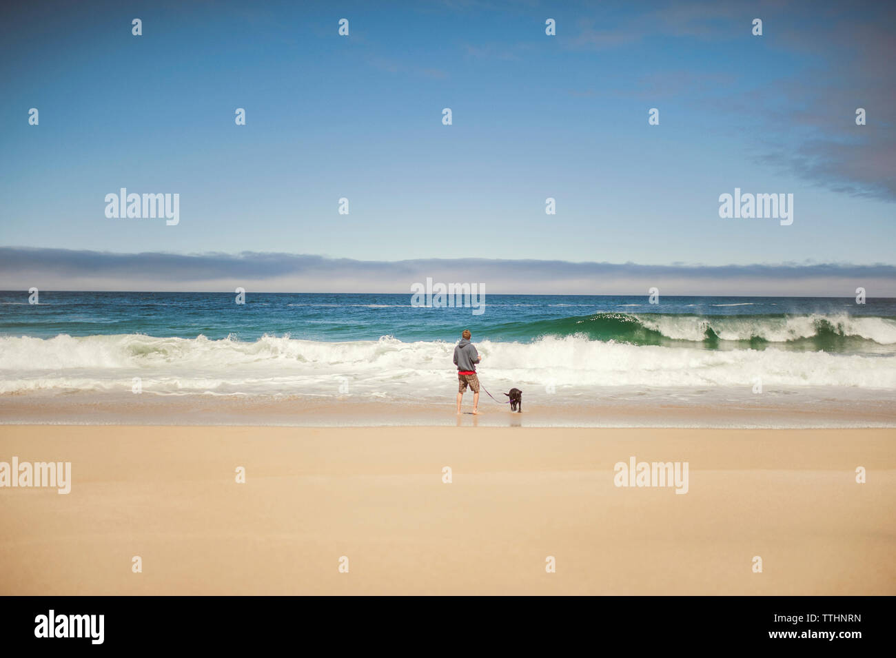 Ansicht der Rückseite des Mann mit Hund am Ufer gegen Sky Stockfoto