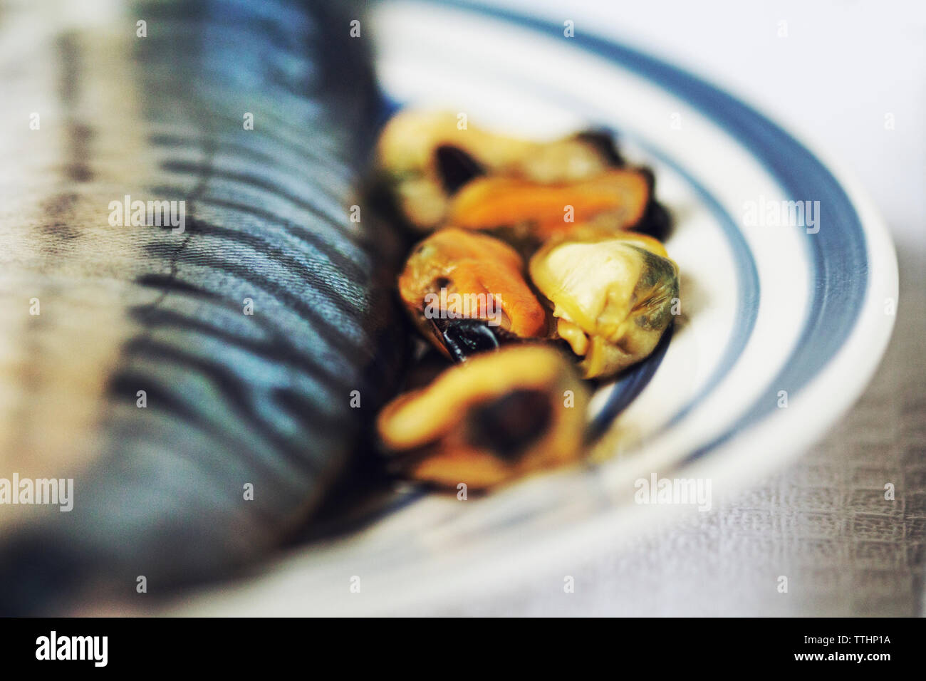Close-up von Austern und Makrele in Teller am Tisch Stockfoto