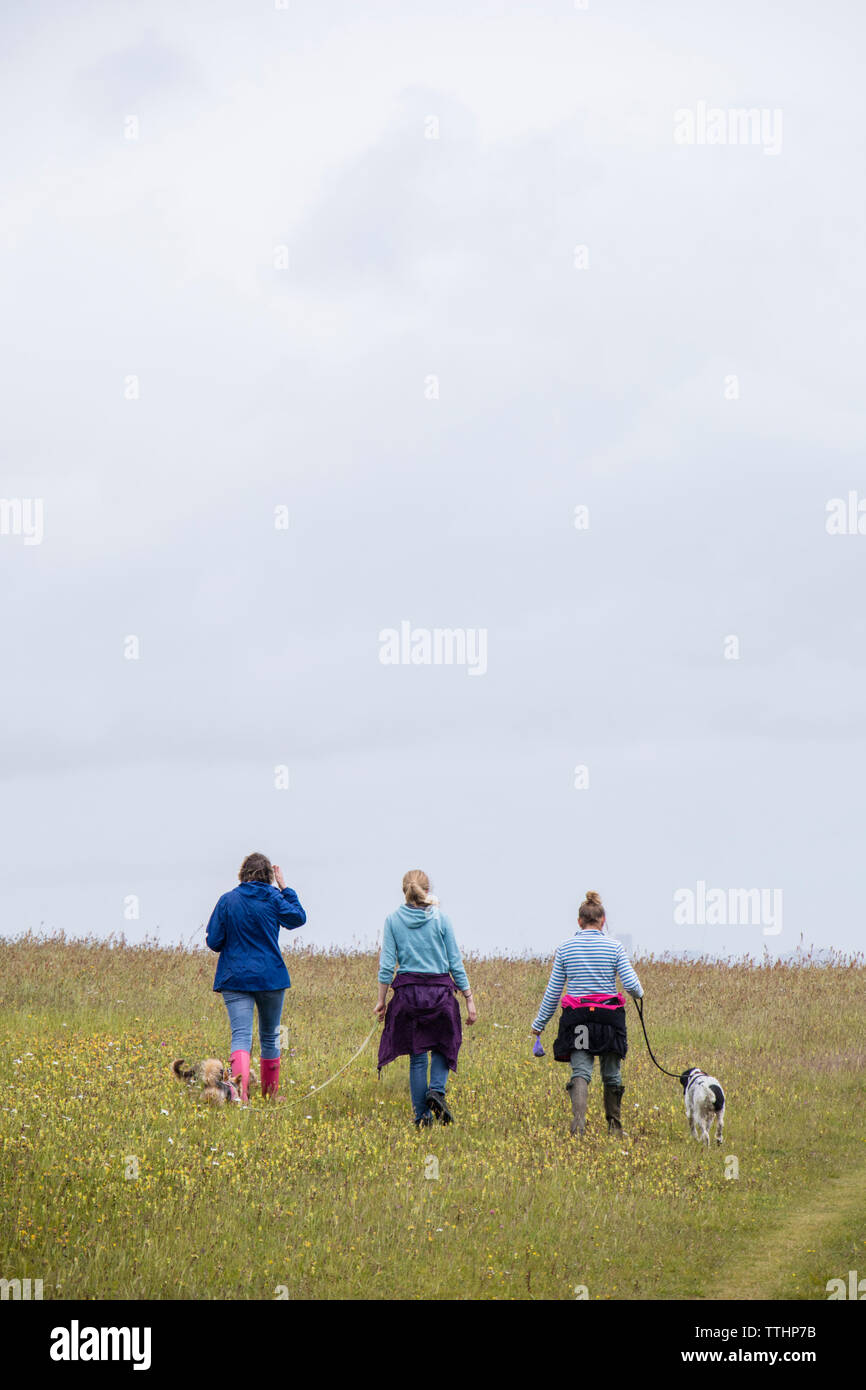 Meine Damen ihre Hunde wandern in der Natur, England, Großbritannien Stockfoto