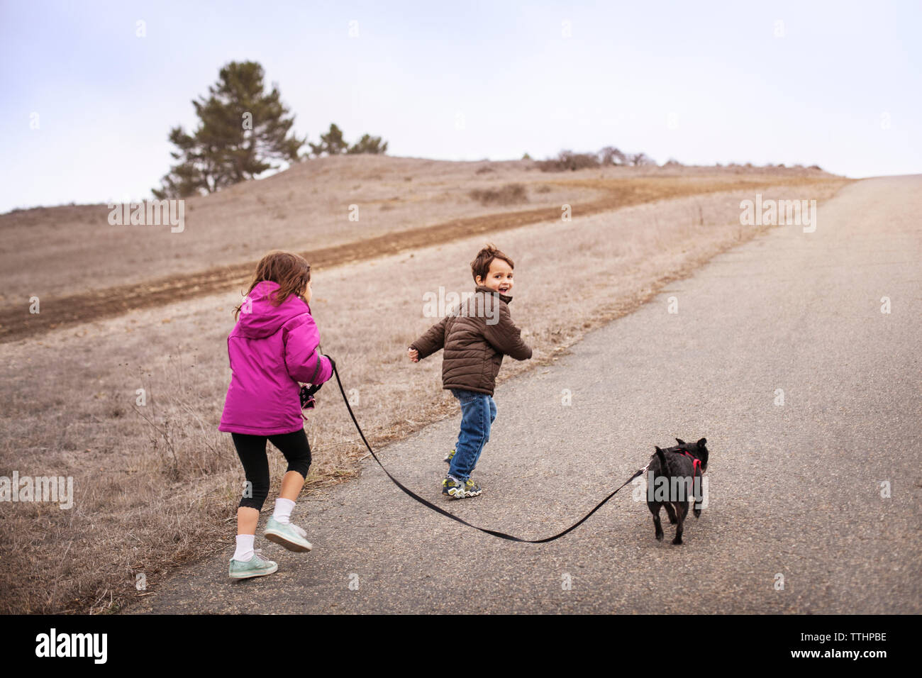 Geschwister mit Hund läuft auf die Straße, um gegen den klaren Himmel Stockfoto
