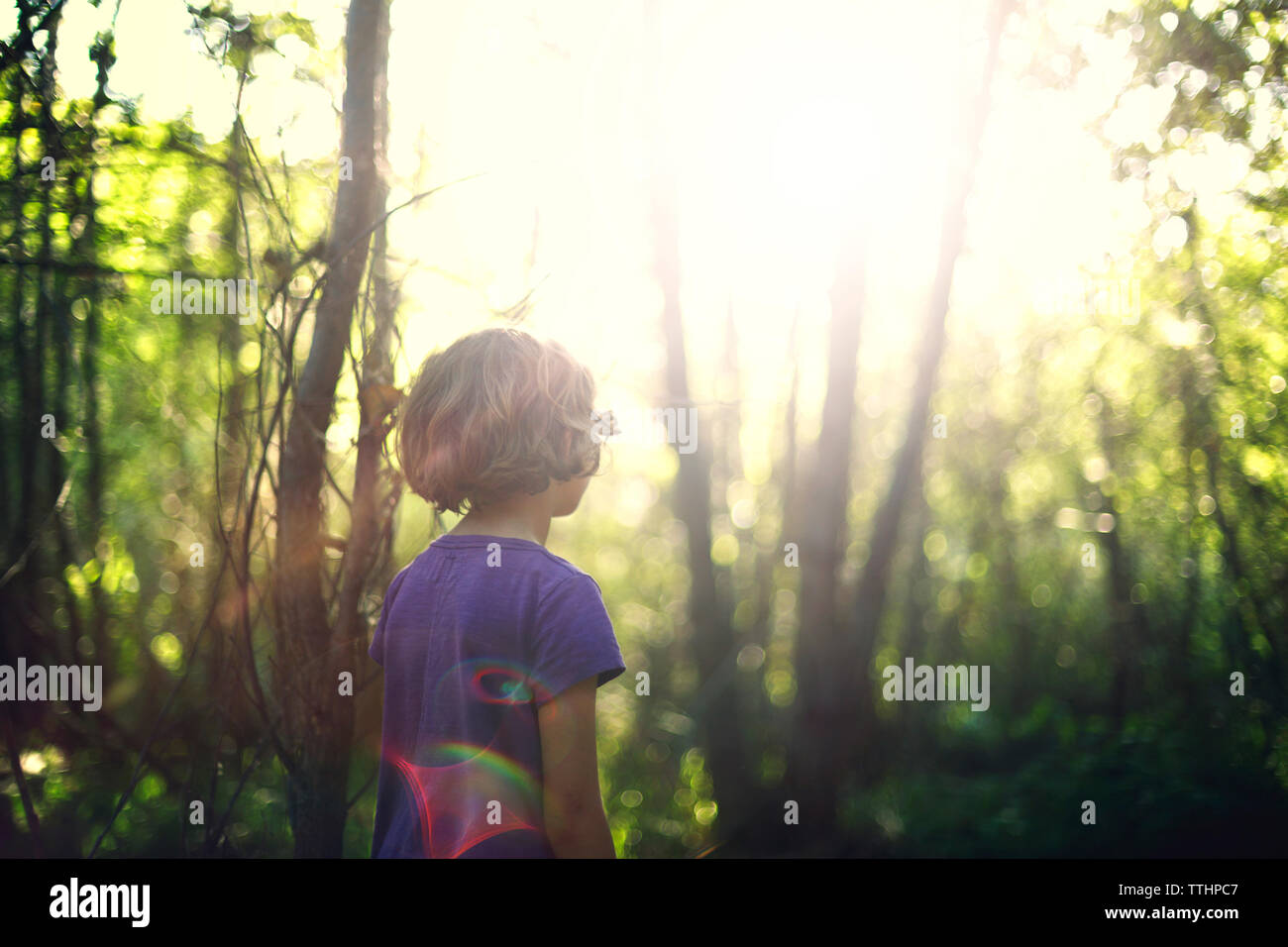 Ansicht der Rückseite des stehendes Mädchen im Wald an einem sonnigen Tag Stockfoto