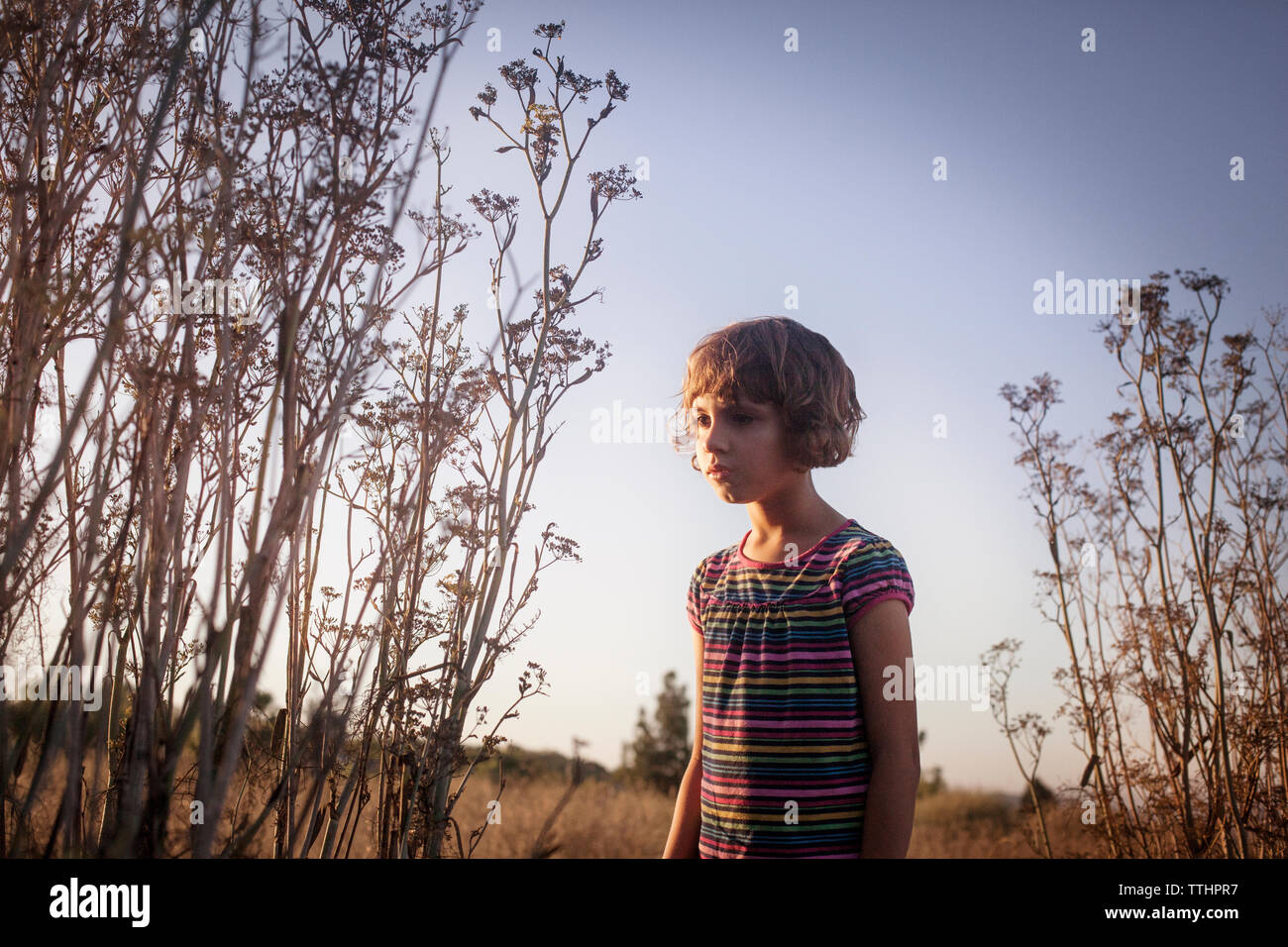 Nachdenkliches Mädchen an Pflanzen im Feld Suchen Stockfoto