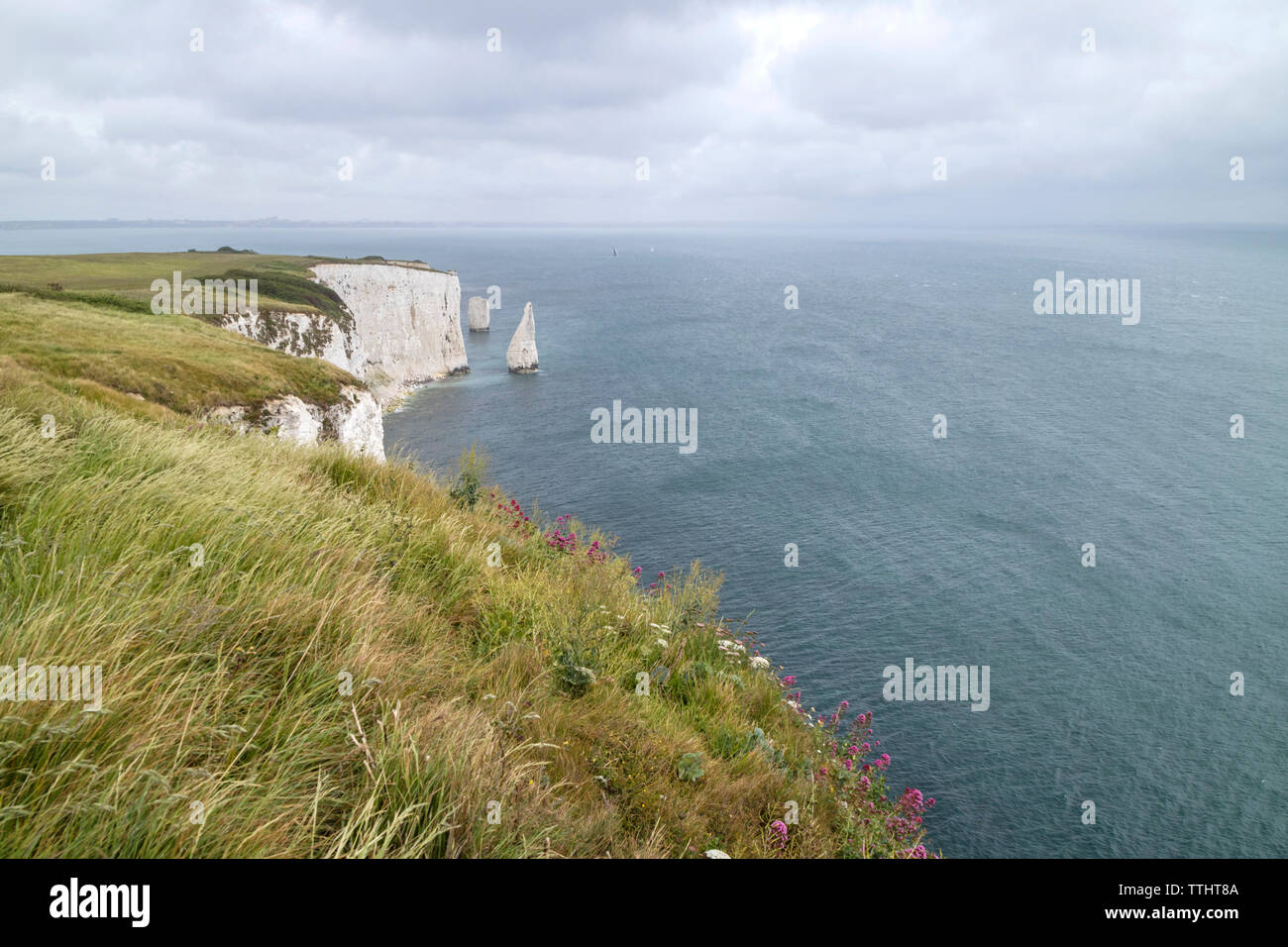 Die Pinnacles an Handfast Point, Isle of Purbeck, Jurassic Coast, einem UNESCO-Weltkulturerbe in Dorset, England, Großbritannien Stockfoto