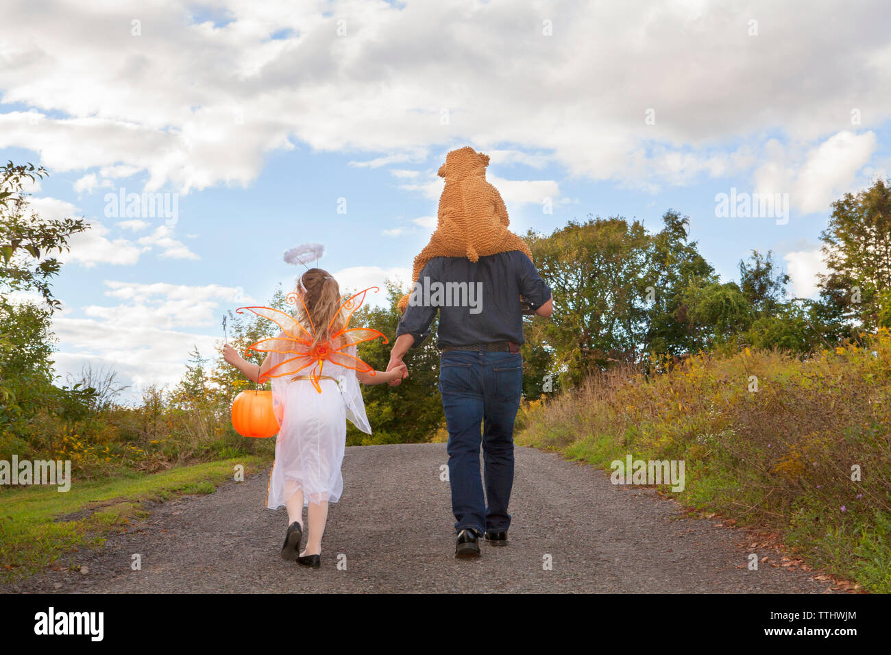 Ansicht der Rückseite des Vater mit Kindern in Halloween Kostüm auf dem Feld Stockfoto