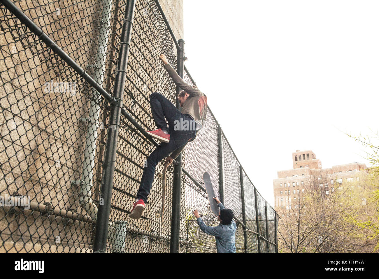 Freunde klettern auf chainlink Zaun am skateboard Park Stockfoto