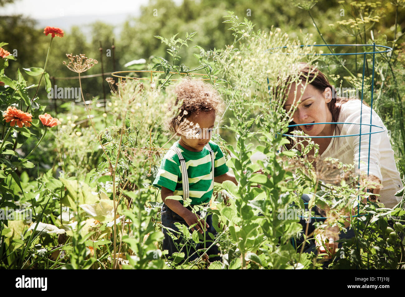 Mutter Blumen Prüfung mit Sohn im Hinterhof Stockfoto