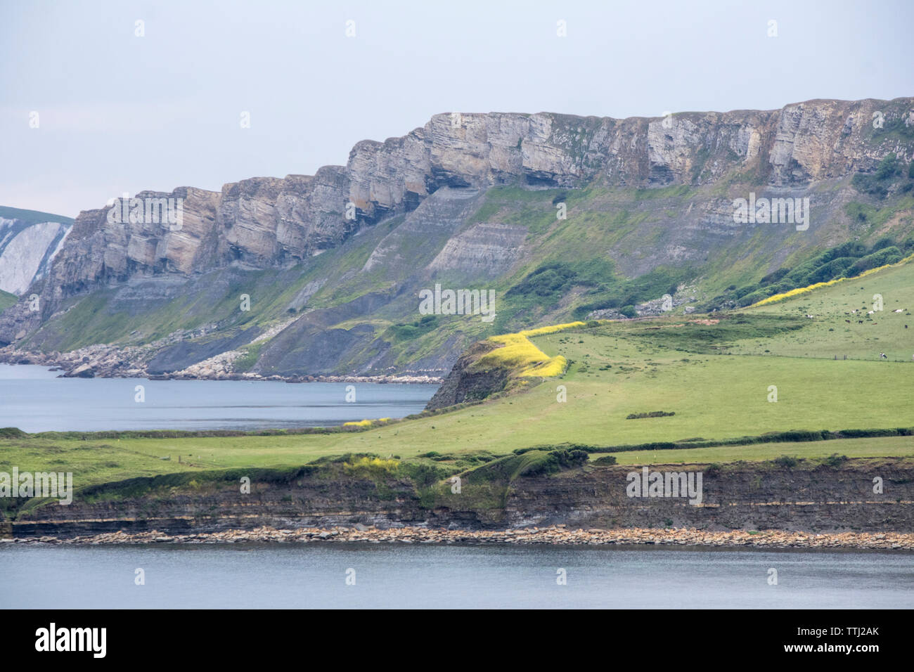Kimmeridge Bay liegt in einem Marine besonderes Schutzgebiet, Dorset, England, Großbritannien Stockfoto