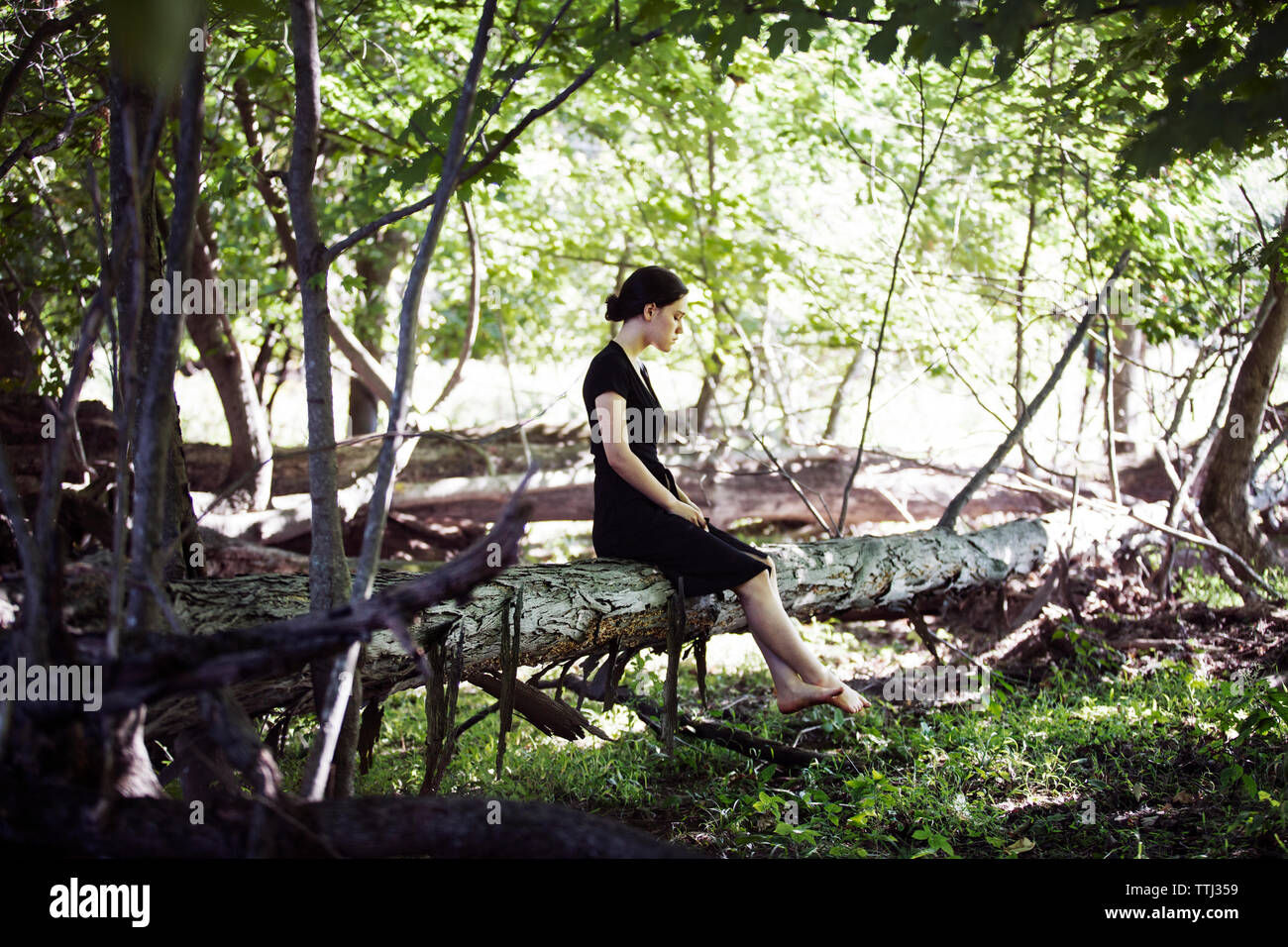 Junges Mädchen sitzt auf gefallenen Baumstamm im Wald Stockfoto