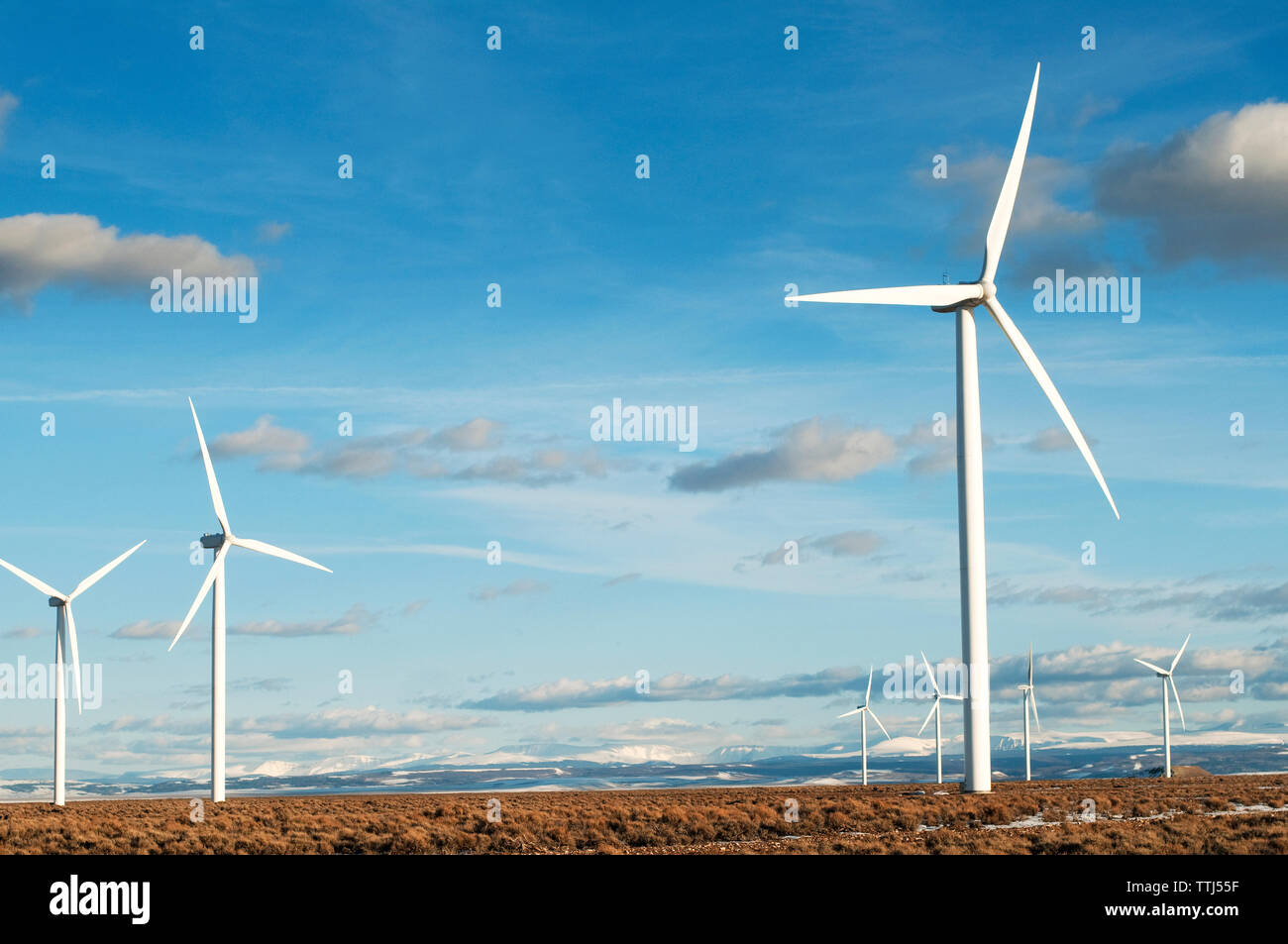 Windenergieanlagen auf Feld gegen Himmel an einem sonnigen Tag Stockfoto