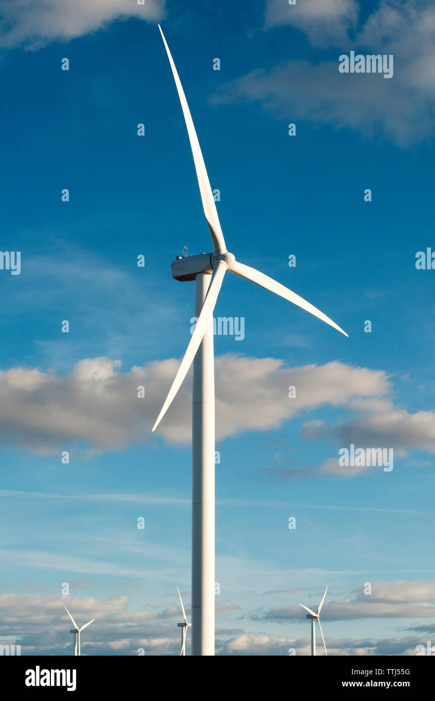 Windenergieanlagen gegen den Himmel an einem sonnigen Tag Stockfoto