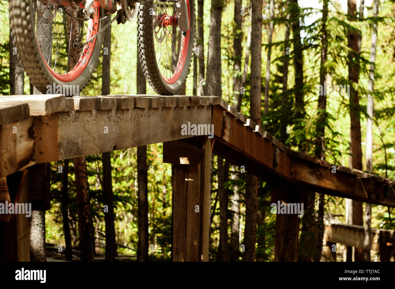 Zugeschnittenes Bild von Fahrrad auf Sport Rampe im Wald Stockfoto