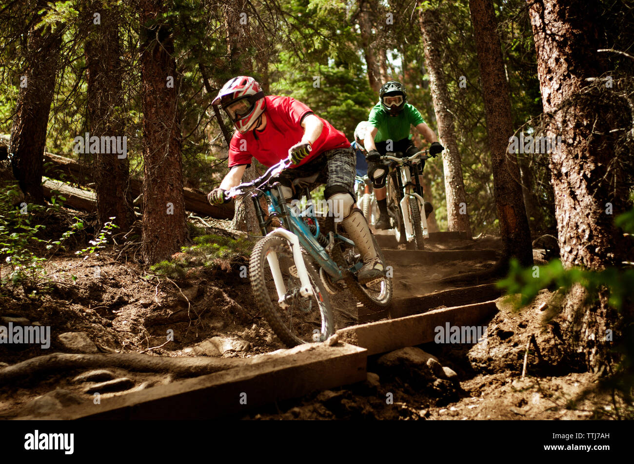 Radfahrer nach unten bewegt Hügel im Wald Stockfoto