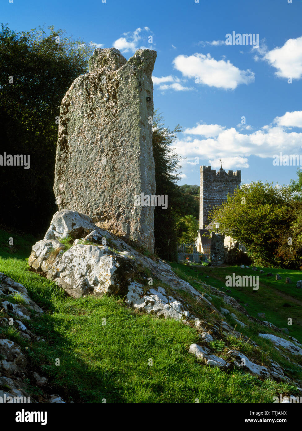 Anzeigen WNW Der Pranger auf dem Grün neben Llanrhidian Kirche, Gower, Wales, UK: ein Kalkstein monolith, der früher als das Dorf treibend-Post verwendet. Stockfoto