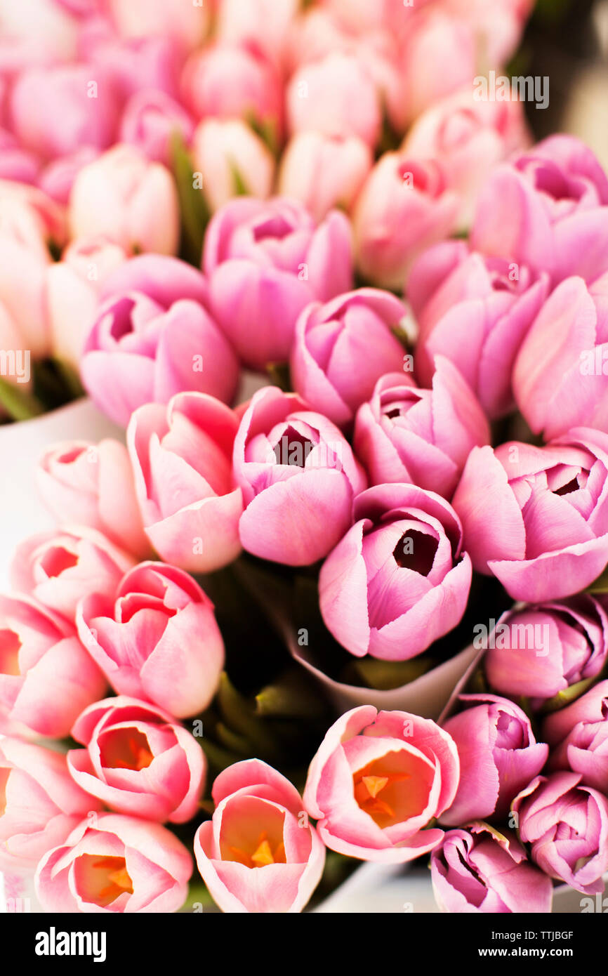 Nahaufnahme der Tulpe Blumen Stockfoto