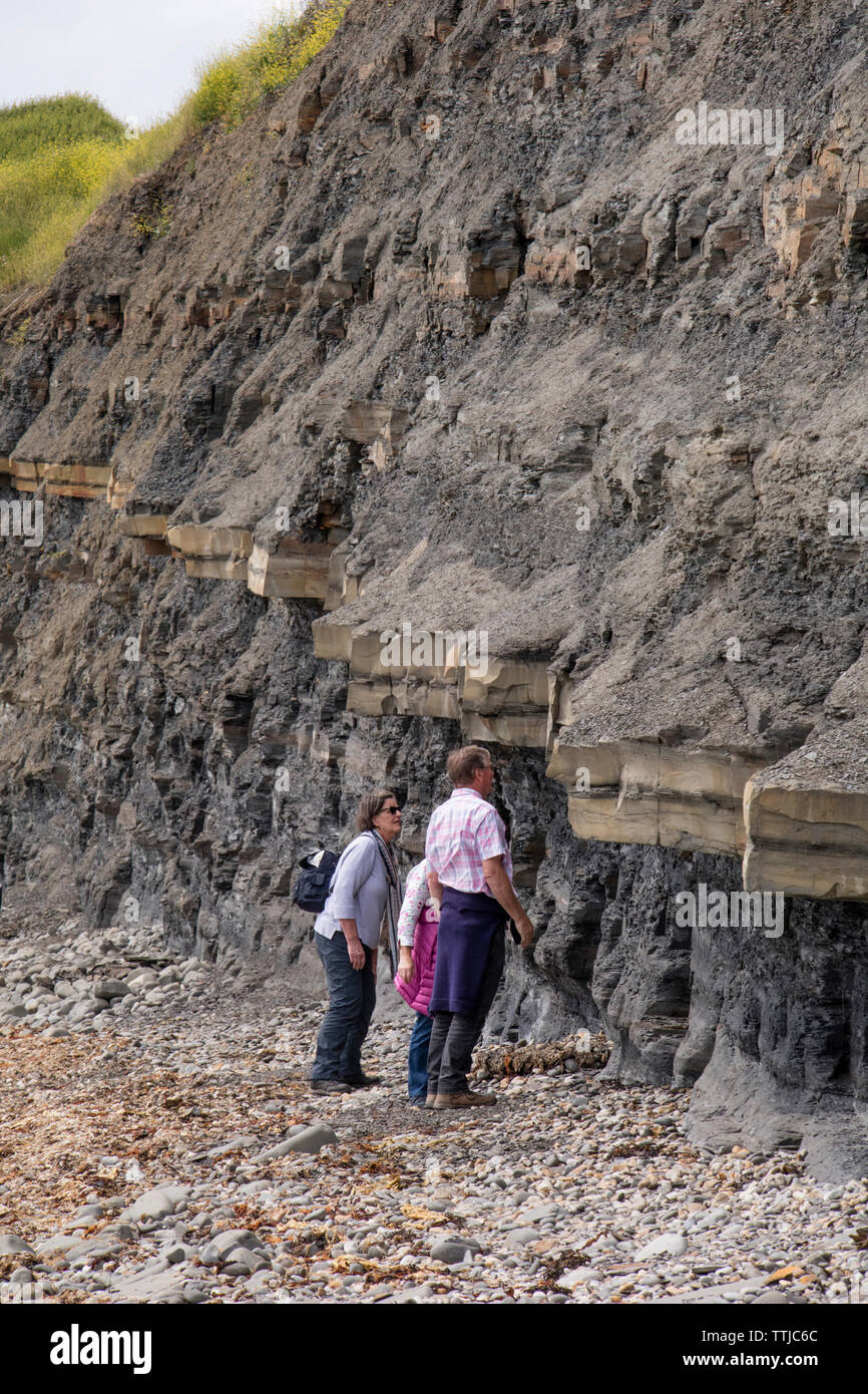 Touristen zu Fuß instabil Klippen bei Kimmeridge Bay Dorset, England, Großbritannien Stockfoto