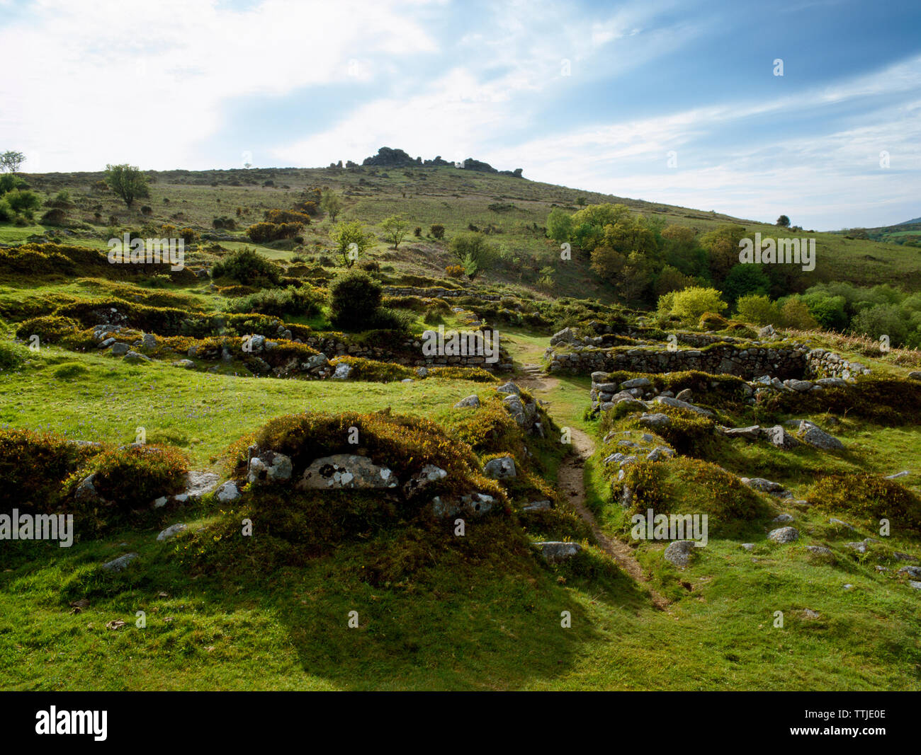 Anzeigen WNW über vier C 13 Dartmoor Langhäuser der Granitfelsen an Hound Tor Verlassenen mittelalterlichen Dorf, Devon, Großbritannien gebaut. Eine Siedlung von vier Farmen. Stockfoto