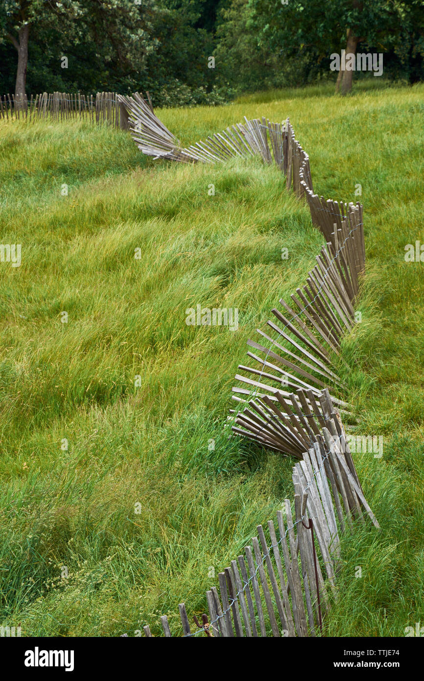 Abfallende Holzzaun im Gras der Greenwich Park, wie Möbius band Stockfoto